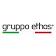 Gruppo Ethos's logo