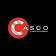 Casco SPA's logo