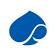 Capgemini's logo