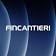 FINCANTIERI's logo